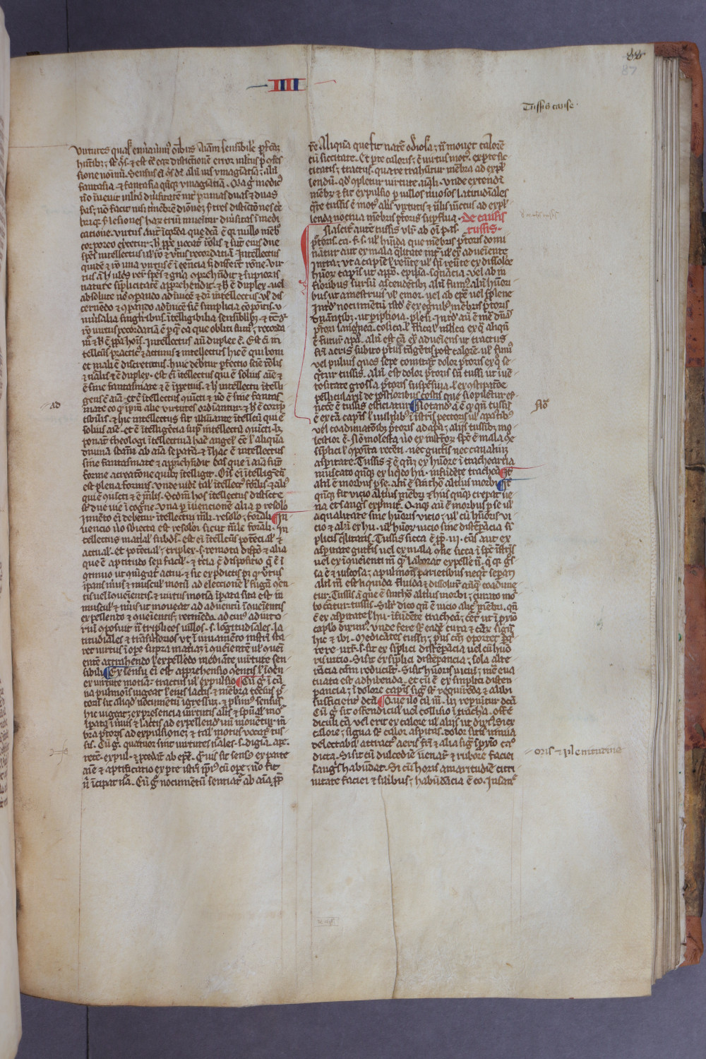 Folio 87 recto